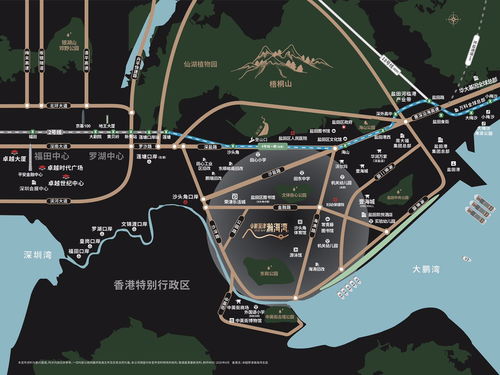 生肖与名字的奇妙联系