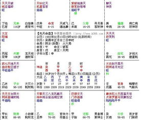 2025年8月18日之日柱基本信息与建除十二神分析