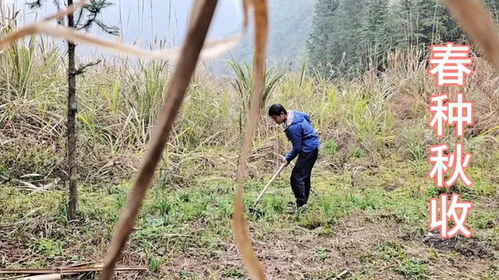 1. 与丧事相谐音者