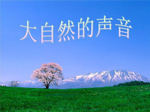 秋季声响的自然解读