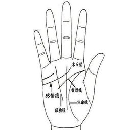 痣、 理财纹与财运关联解析