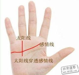 四、 投机心态蔓延背景下青年群体快速致富观念的社会心理分析