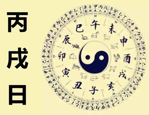 明天丙戌日五行中丙戌日缺少哪一行？