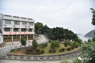 震惊！苍南韭菜园竟藏着2026年运势密码？！