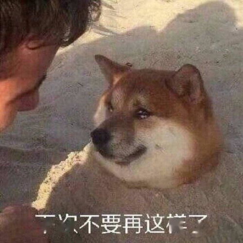 单身狗注意！果子梦的骚操作