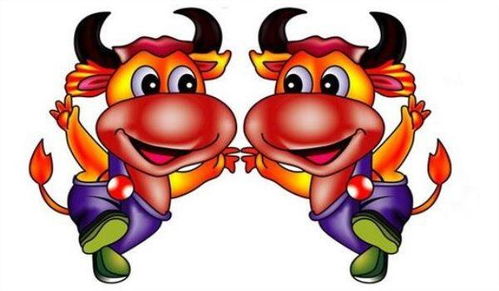 2026年属牛的97年出生的人今年多少岁了？