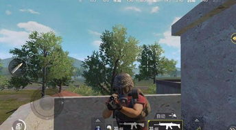 实地调查报告：致命危机与生存抉择