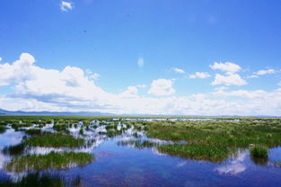 3. 珠海·海岸线的随性漂流