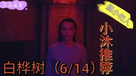事件溯源：录音揭示诅咒背后的真相