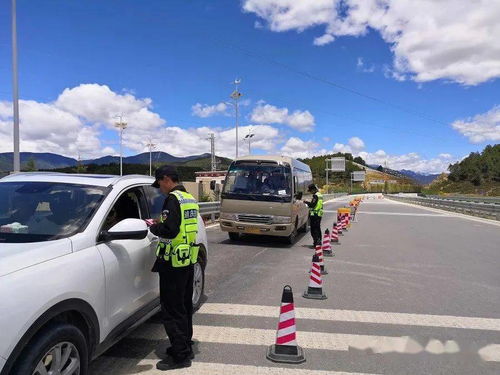 迪庆旅游交通用车服务：一场意外的旅程