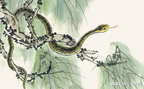 属蛇人一生为何要远离属龙人？哪个生肖嫩降住属蛇人呢？