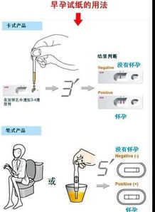 不是排卵期怀孕的几率有更多较大？