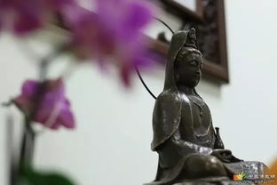 奇妙感应与虚空回音