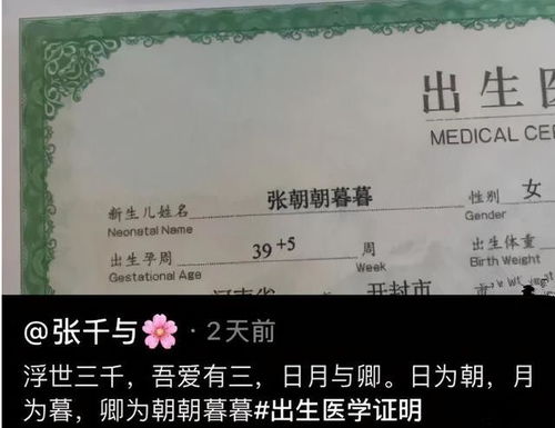 姓氏与尊称： “尹君” 的双重寓意
