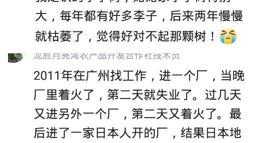 三、 社会心理效应与儿童成长观察