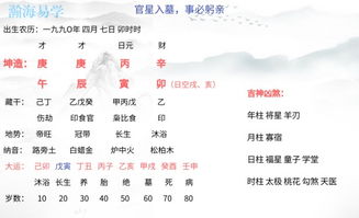 四柱八字己卯壬申乙巳辛巳中，壬申日柱遇到乙巳时柱，是否代表出轨？