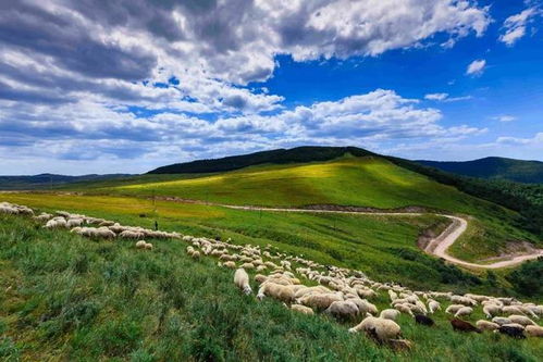 草原？明明是秃原！