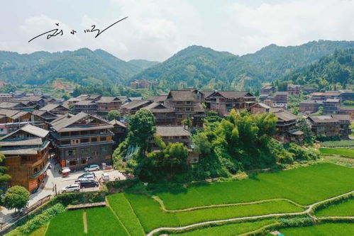 程阳八寨景区有哪些特色旅游项目值得体验？（别信攻略，我来告诉你）