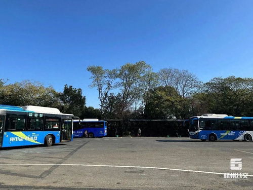 站点升级：舒适候车体验？呵呵