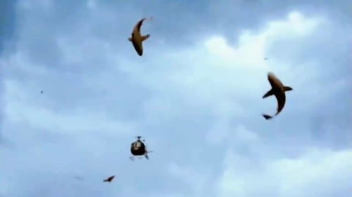 梦见天上有龙卷风，这预示着什么？是吉是凶？还是预示着即将发生什么重大事件？