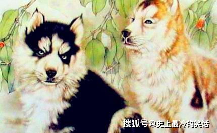 一、 生肖属性及五行对应之理论基础