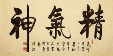 太极拳：动静结合的养生之道