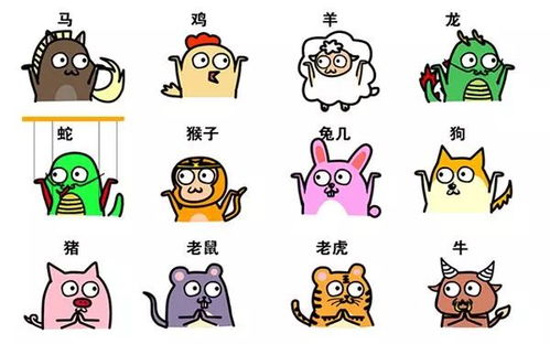 后生晚学打一生肖，难道不是属什么生肖呢？