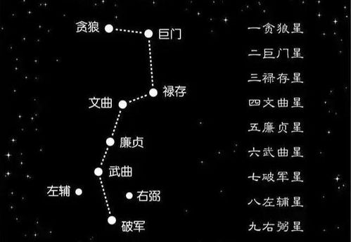 新周期下的运势演变与宏观展望