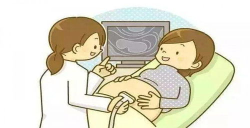 二、  生肖运势与本命年的玄学解析：以属兔为例