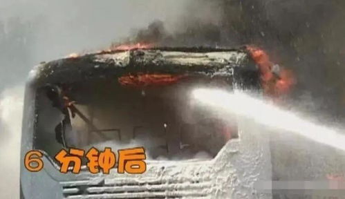 第一节：雪夜行车与坎水当令的凶险格局