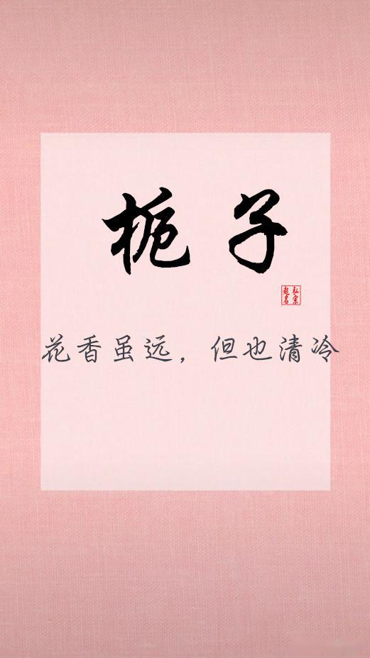 哲学大杂烩：当儒家遇上非主流