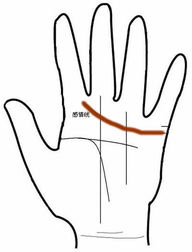 三、 感情线呈格子状或锁链形——多变与波折并存