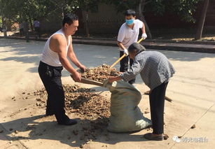 村里突然来了好多陌生人，这是怎么回事呢？