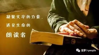 心灵之旅， 情感共鸣美景中