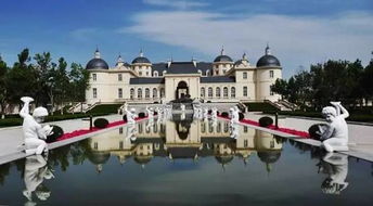 交通魔咒：生肖出行指南