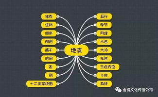 深度解析：字面意义是什么意思啊？