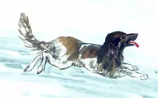 这些属相专克属狗人！快跑！