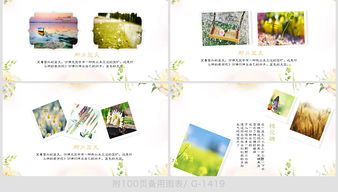 第二章：从风水角度堪相册命名的玄学奥秘与数据玄学