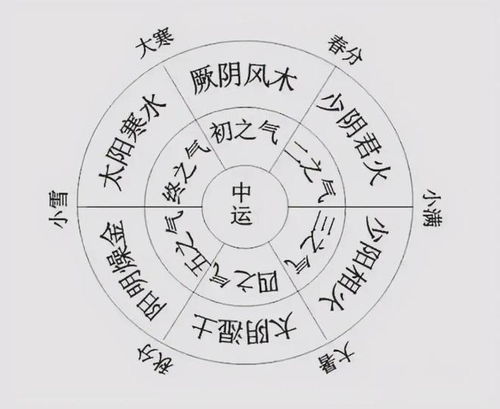 生肖星象与五行命理的考量