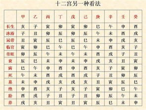 1965年戍时出生的人属什么命，对应的命理是什么？
