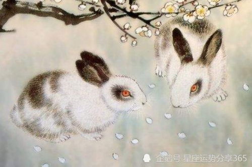 属兔天秤座2026年农历四月运势和1987年属兔人2026年天秤座运势分别是什么？
