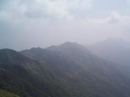 龙行天下风水论坛里的图片，如何改写为‘龙行天下风水’的长尾关键词？