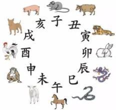 十二生肖顺序如何影响个人命格，其排序依据是什么？