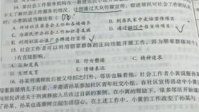 总体准备工作岗位概述