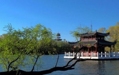 龙沙公园：广场舞大妈的天堂