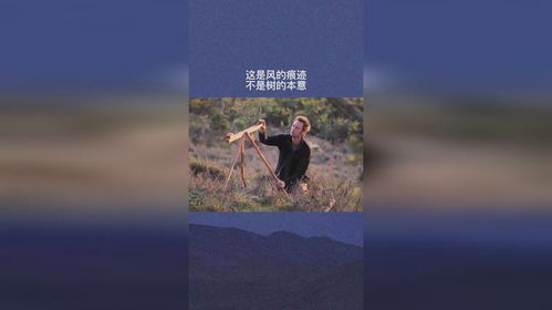 理论框架：风水学、 生肖星座与情感记忆的交叉视域