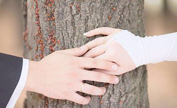 三、  八字的深度应用：化解紧张关系与寻求平衡