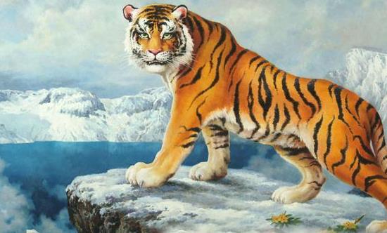 四海扬名和四海扬帆分别代表哪个生肖？