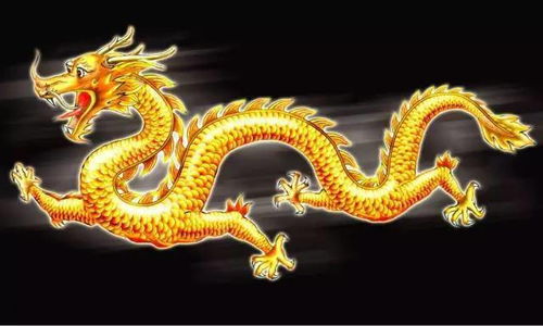 1988年属龙的人下半年感情运势如何？