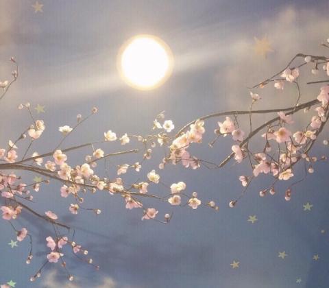 生肖特性与微信网名的象征意义